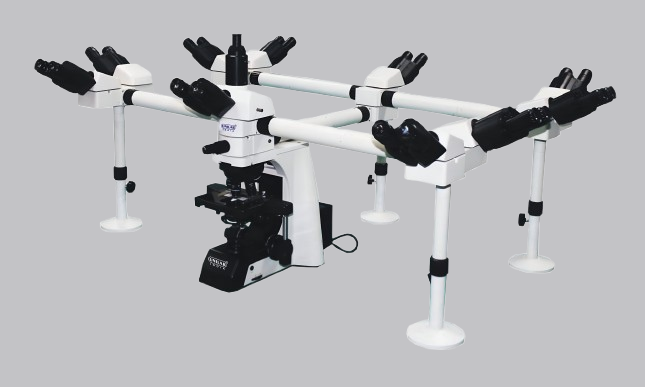 Deca Head Multiviewing Microscope