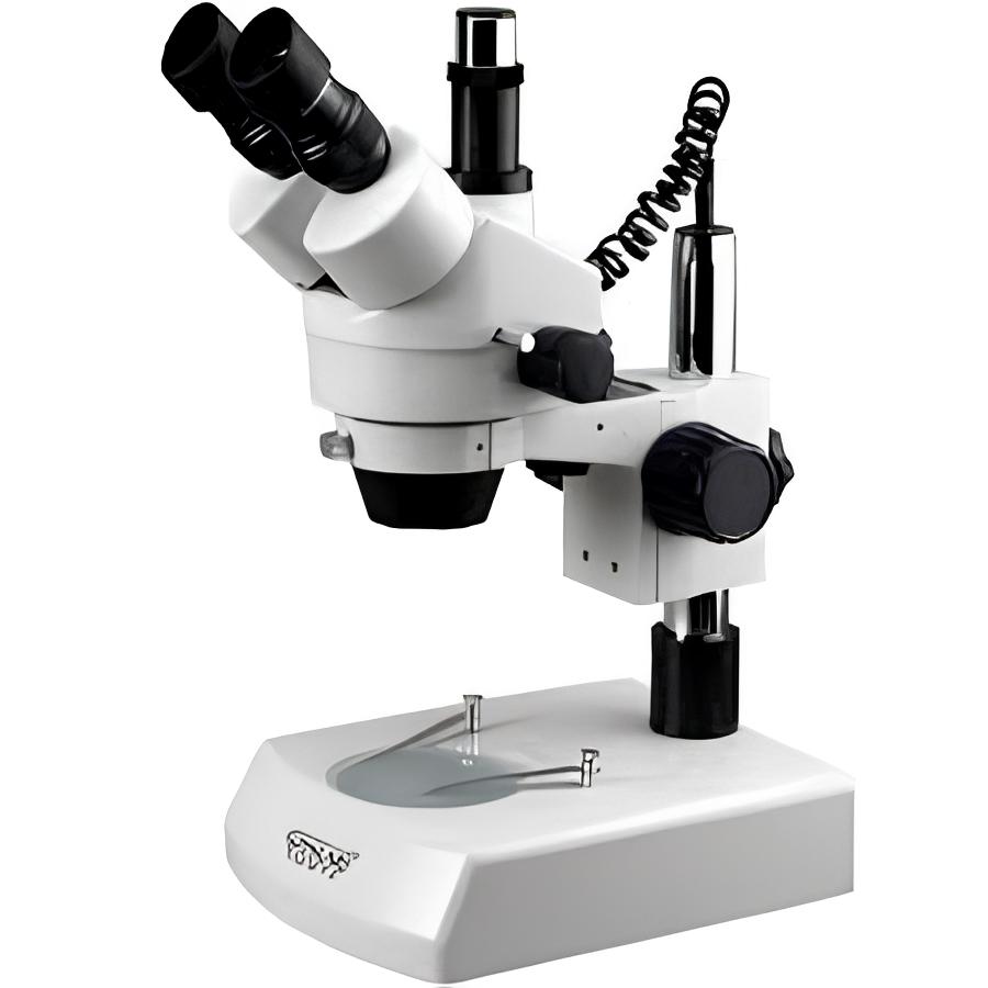 Best Practices for Microscope Maintenance